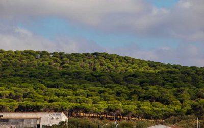 ¿Puede ser el turismo sostenible?