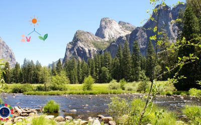 Restauración ecológica para un mundo mejor. ¿Qué es y cómo puede restaurarse un ecosistema?